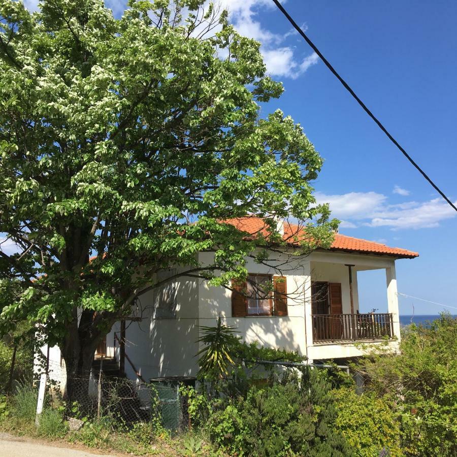 The Country House Koutsoupia Kokkino Nero Exterior photo